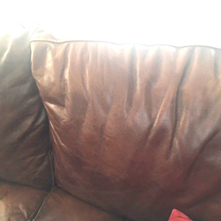 waxed oiled couch before using care products