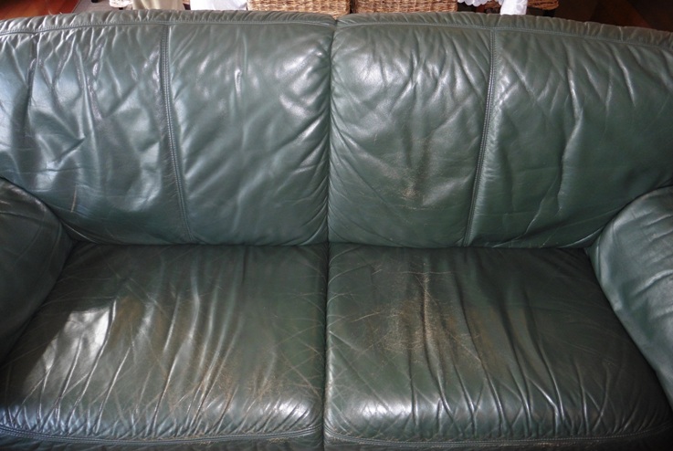 the leather couch