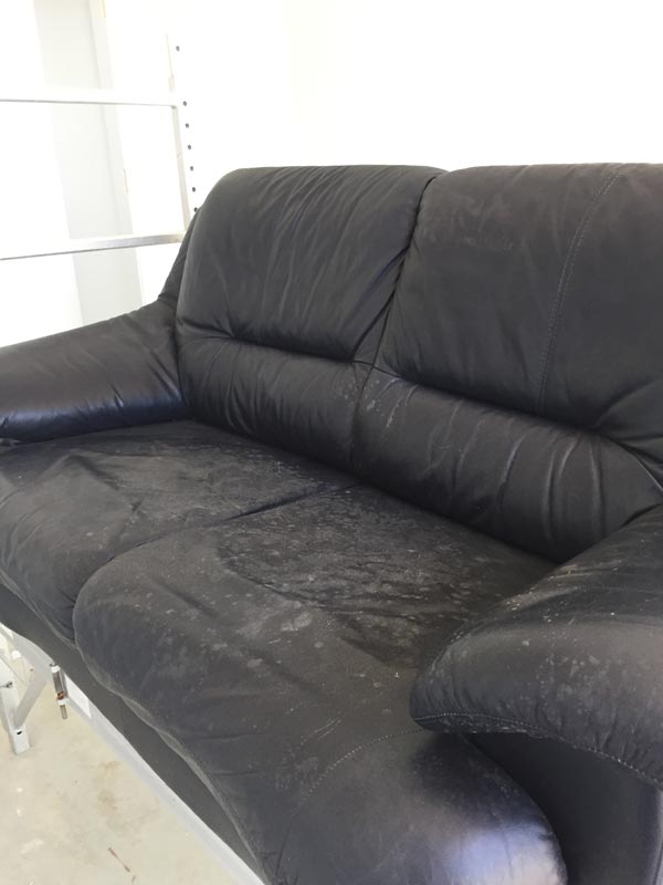 blue leather sofa before