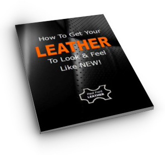 Ford leather care #3