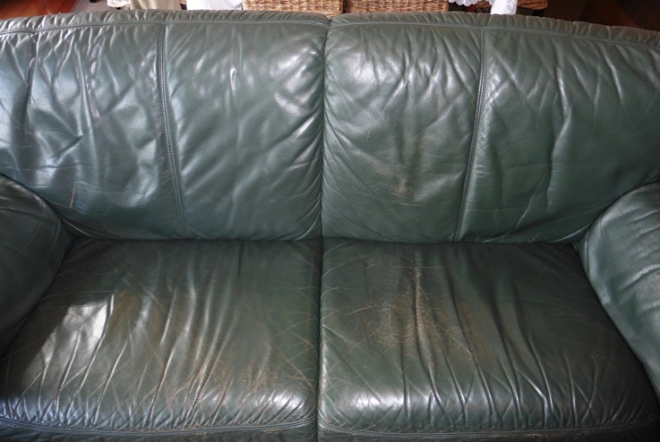 the leather couch the leather couch