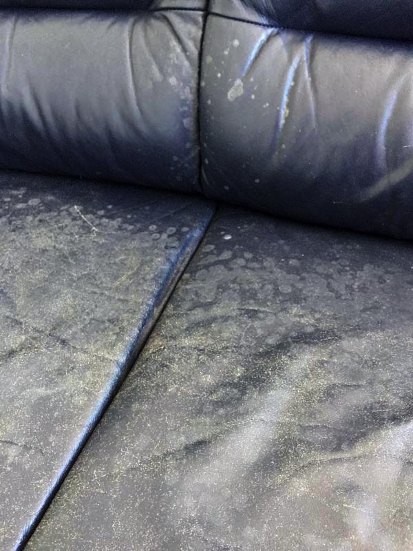 close up of couch before restoration close up of couch before restoration